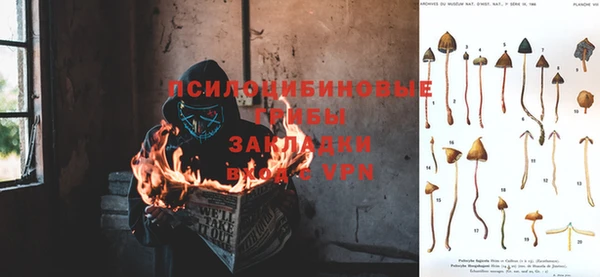 гашик Покров