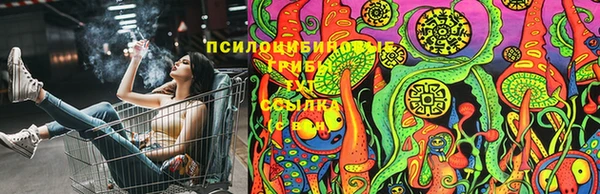 герыч Абинск