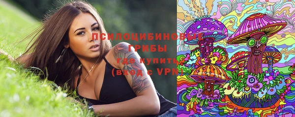 соль ск Абаза