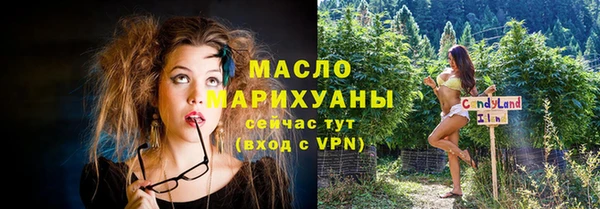 молекула духа Елабуга
