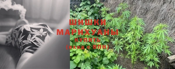 гашик Покров