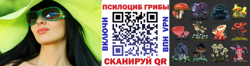 omg сайт  Владикавказ  Псилоцибиновые грибы мицелий 