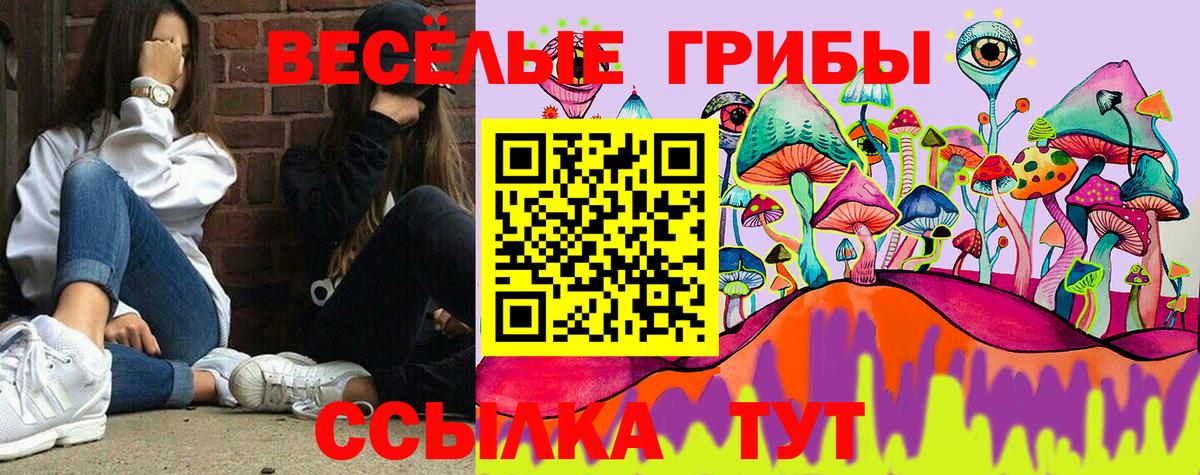 Псилоцибиновые грибы Psilocybine cubensis  Вход с VPN  Владикавказ 