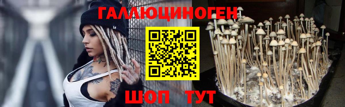 Псилоцибиновые грибы мухоморы Владикавказ
